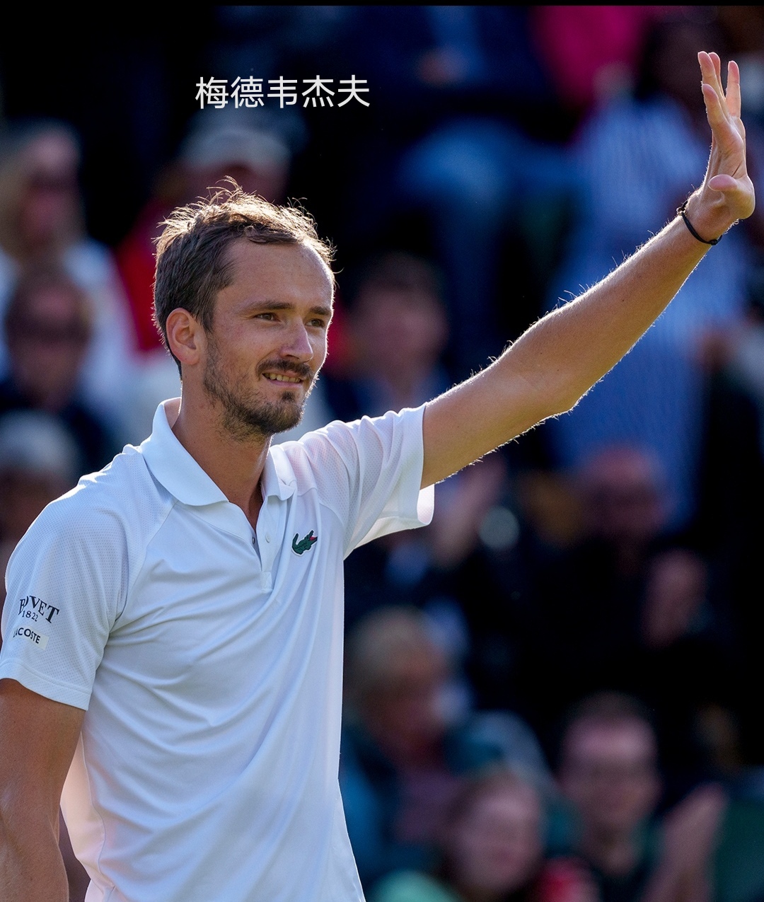 温网完胜年终总决赛,梅德韦杰夫点燃赛场 温网完胜年终总决赛,梅德韦杰夫点燃赛场
