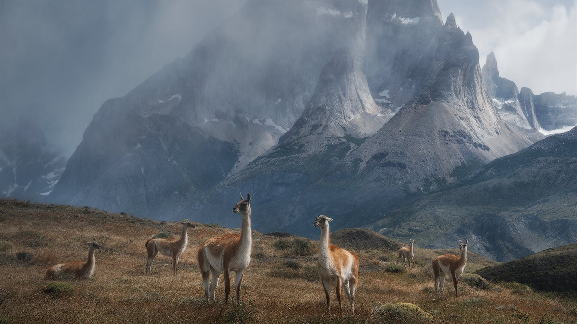 冰与火的对决，哈斯上演终局绝杀，诺里斯以炽热状态照亮赛道