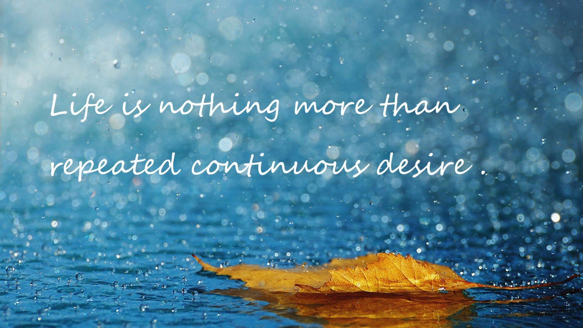 冰与火的对决，哈斯上演终局绝杀，诺里斯以炽热状态照亮赛道