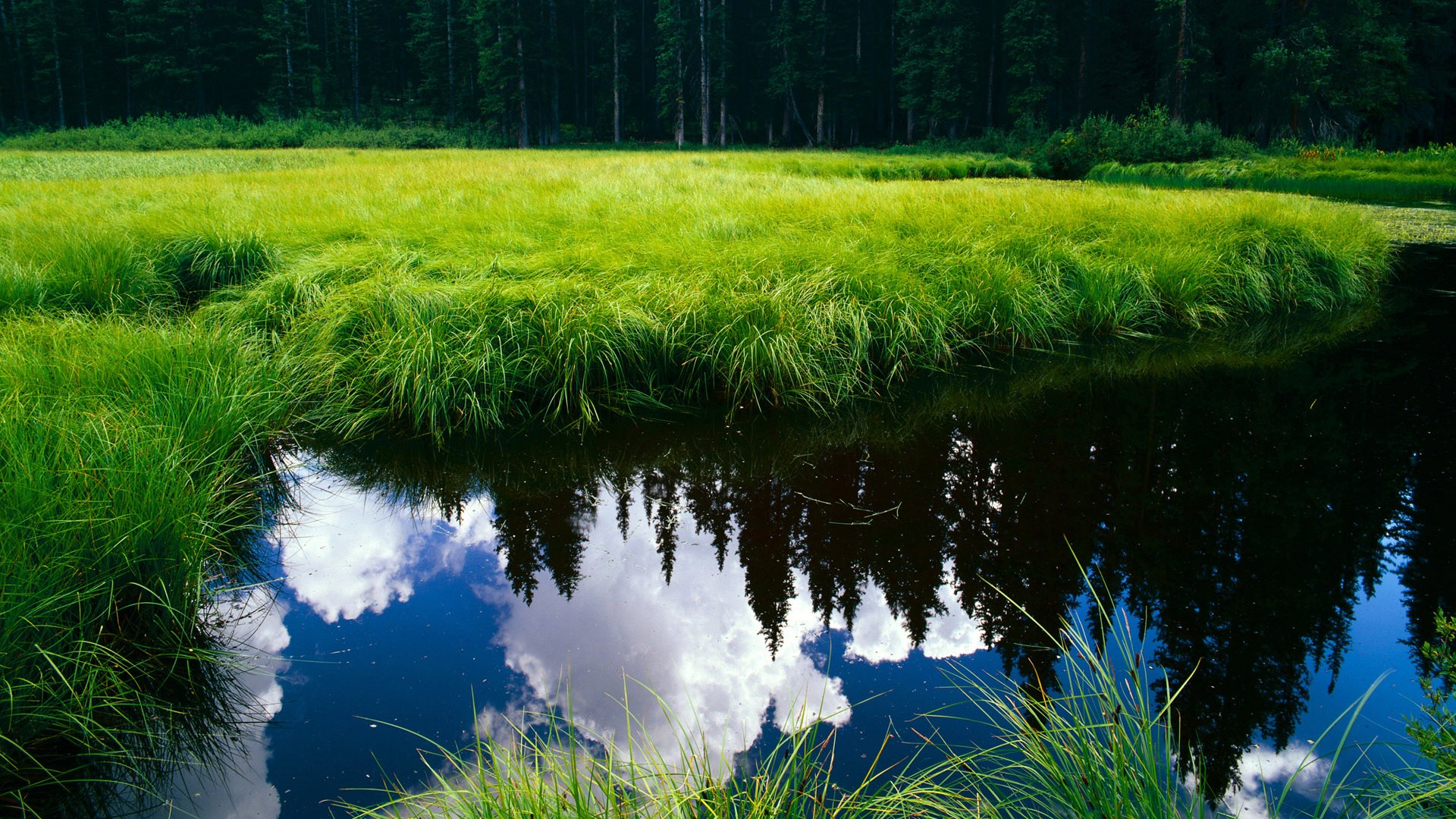 今夜，瑞典与奥地利的鏖战，只为衬托一道划破冰面的孤独闪电