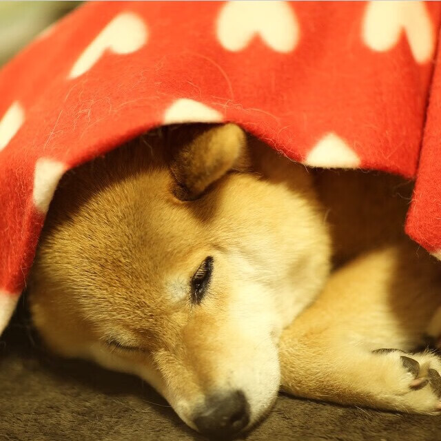 当牙买加淘汰墨西哥遇上巴斯托尼攻防转换核心,足球世界的唯一性法则