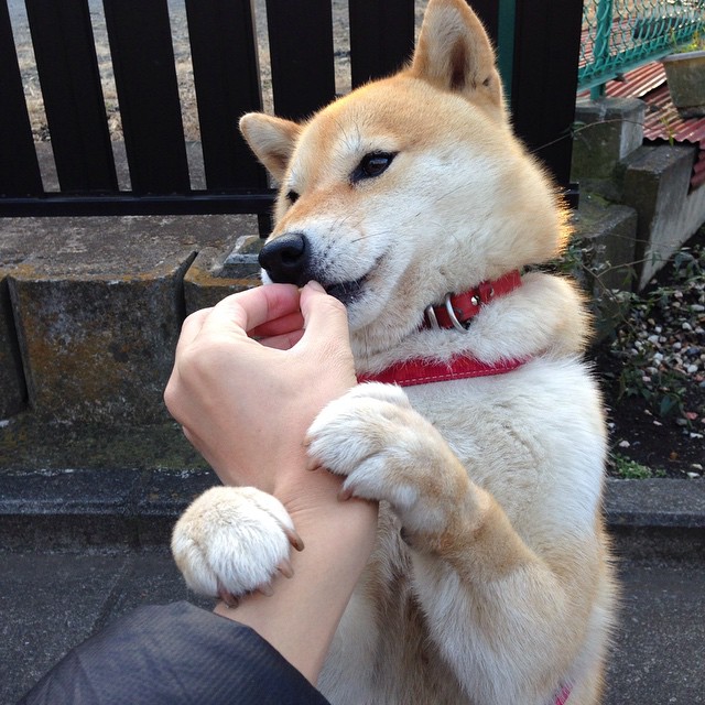 硬核胜利—当莱比锡的蓝图为库尔图瓦铺路,足球迈入秩序意志新时代