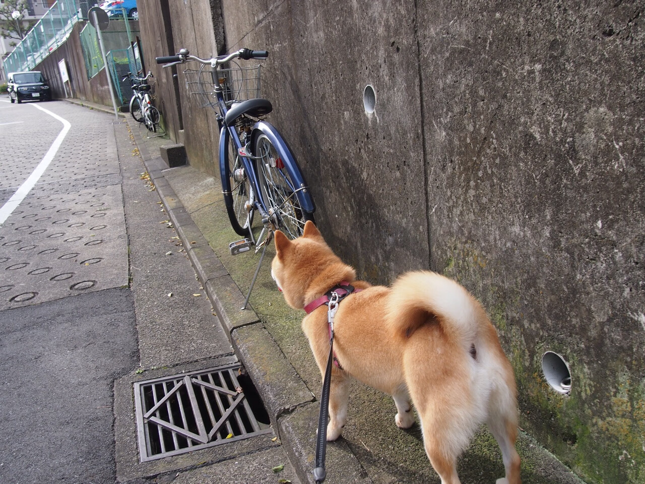 总决赛夜颠覆想象，当拉文成为全场焦点的七种方式