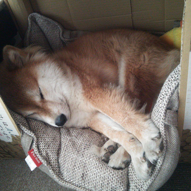 布伦森式逆袭,当快船翻盘的每一分钟,都被纽约的幽灵笼罩